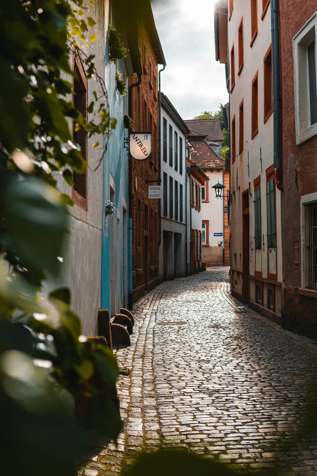 A quiet cobbled street between old painted houses.